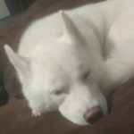 Profile picture of Joshua Hager