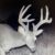 Profile picture of MR188